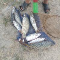 Fishing imagse