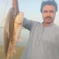 Fishing imagse