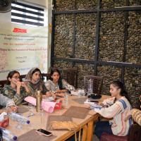 Youth Training for Peace and Diversity